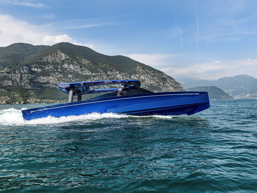 Swan OverShadow (2)-R_resized